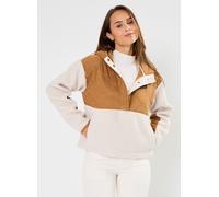 Vêtements Columbia Cloud Point Hooded Fleece pour Accessoires L Marron