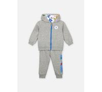 Vêtements Converse Apparel Dino Ft Fz Hoodie Set pour Enfant 12M Gris