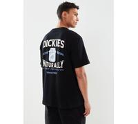 Vêtements Dickies ELLISTON Tee SS pour Homme S Noir