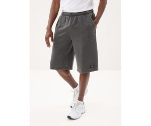 Vêtements Dickies Streetsboro 13 Inch Sweat Short pour Homme XL Noir