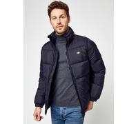 Vêtements Dickies Waldenburg pour Homme L Noir