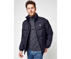 Vêtements Dickies Waldenburg pour Homme S Noir