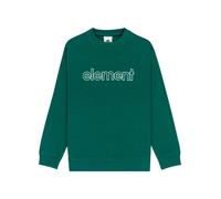 Vêtements Element Central Lowcase Cr Y pour 16A Vert