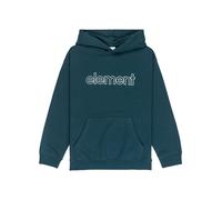 Vêtements Element Central Lowcase Po Y pour 12A Vert