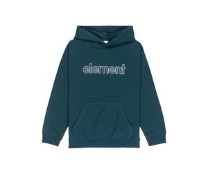 Vêtements Element Central Lowcase Po Y pour Enfant 12A Vert