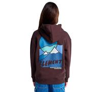 Vêtements Element Sunrise Po Y pour Enfant 12A Marron