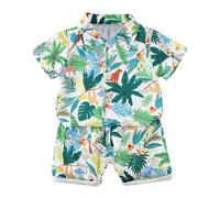 Vêtements Ete Bébé Garçon 6 Months - 5 Ans Ensemble Enfant Garcon Short Et Chemise Hawaii Manche Courte Pas Cher Mignon Confortable Casual Sport Plage (White, 6-12 Months)