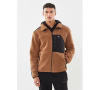 Vêtements Icepeak ARDEM pour Homme S Marron