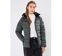 Vêtements Icepeak BLACKEY pour Femme 44 Vert