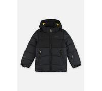 Vêtements Icepeak ICEPEAK LOUIN JR pour Enfant 8A Gris