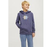 Vêtements Jack & Jones Jorfrederiksberg Box Sweat Hood Sn Jnr pour Accessoires 8A Bleu