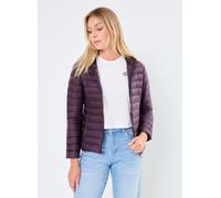 Vêtements JOTT Cloe pour Femme M Violet