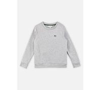 Vêtements Lacoste Core Fleece Crew pour 16A Gris