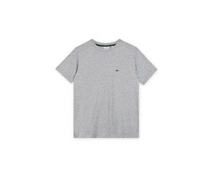 Vêtements Lacoste Core Tee pour Enfant 8A Gris