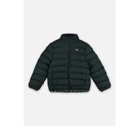 Vêtements Lacoste Mid Wt Puffer pour Enfant 16A Vert