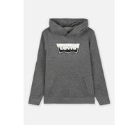 Vêtements Levi's Kids Levi's® Metallic Batwing Pullover Hoodie pour Accessoires 8A Gris