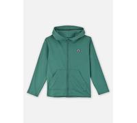 Vêtements Petit Bateau Sweatshirt à Capuche Furito pour Enfant 3A Vert