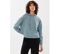Vêtements Pieces PCCHILLI LS HOODIE NOOS pour Accessoires XS Gris