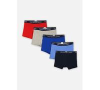Vêtements Polo Ralph Lauren 5 slips-boxers classiques coton stretch pour Homme L Multicolore