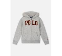 Vêtements Polo Ralph Lauren Hood Mod #6-Knit Shirts-Sweatshirt pour Accessoires 4A Gris