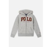 Vêtements Polo Ralph Lauren Hood Mod #6-Knit Shirts-Sweatshirt pour Enfant 4A Gris