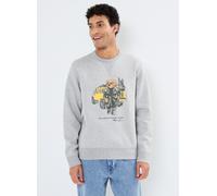 Vêtements Polo Ralph Lauren Lscnm31-Long Sleeve-Sweatshirt 710958195 pour Accessoires S Gris