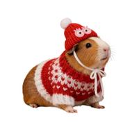 Vêtements pour Hamster | Chandail À Capuche pour Les Animaux De Compagnie,Habits en Lainage Doux pour Animal de Compagnie - pour Cochon d'Inde, Hamster, Furet, Lapin, Chinchilla, Hérisson et Gerbille