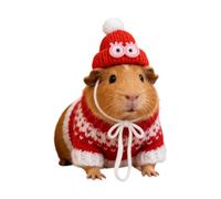 Vêtements pour Hamster,Pullover Animaux de Compagnie,Déguisement À Capuche pour Animaux Domestiques | pour Hamster Cochon d'Inde Lapin Furet Chinchilla Hérisson
