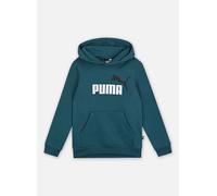 Vêtements Puma Ess+ 2 Col Big Logo Hoodie Fl B pour Accessoires 10A Vert