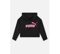 Vêtements Puma G Ess+2Col Logo Hoodie Tr pour Enfant 10A Noir