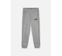 Vêtements Puma Jr Ess Pant Fl pour Accessoires 8A Gris