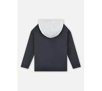 Vêtements Puma Puma Power Hoodie Fl G pour Enfant 10A Gris