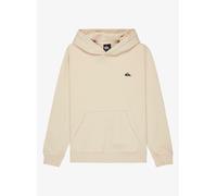 Quiksilver Basic Hoodie Blanc 14 Years Garçons
