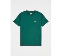 Vêtements Quiksilver Basic Ss Tee Youth pour 14A Vert