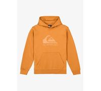 Vêtements Quiksilver Comp Logo Hoodie Youth pour Enfant 14A Orange