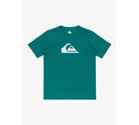 Vêtements Quiksilver Ev Comp Logo Ss Yth EQBZT04851 pour Accessoires 10A Blanc