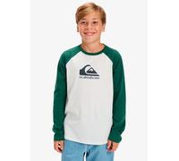 Vêtements Quiksilver Ev Omni Logo Raglan Ls Yth pour Accessoires 14A Blanc