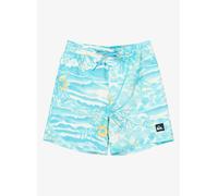 Vêtements Quiksilver Everyday Printed Volley Yth 14 pour Enfant 16A Bleu