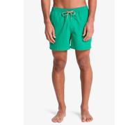 Quiksilver Short de bain Everyday Volley 15 Homme Vert XL