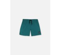Vêtements Quiksilver Everyday Solid Volley Yth 14 EQBJV03517 pour Enfant 12A Vert