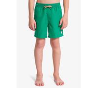 Vêtements Quiksilver Everyday Volley Yth 14 pour Enfant 8A Vert