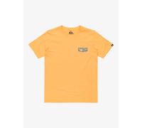Vêtements Quiksilver Evo Aqua Wild Ss Yth EQBZT04835 pour Enfant 10A Orange