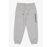 Quiksilver Graphic Jogger Kids Pantalon gris T03
