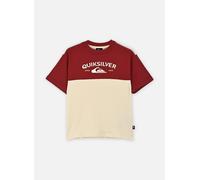 Vêtements Quiksilver Knowledge Aera Ss Tee Youth pour Enfant 8A Beige