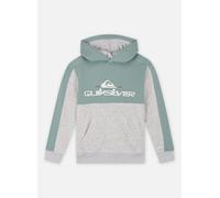 Vêtements Quiksilver Knowledge Area Hood Youth EQBFT03928 pour Enfant 16A Gris