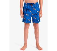 Quiksilver Boardshort Next GEN Volley YTH 14 Bleu 8