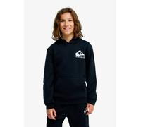 Vêtements Quiksilver Omni Logo Hoodie Youth pour Enfant 10A Noir