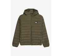 Vêtements Quiksilver Scaly Youth EQBJK03340-CRE0 pour Accessoires 16A Vert