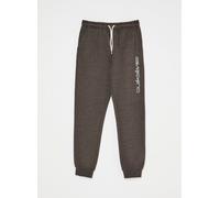 Vêtements Quiksilver Slim Jogger Youth pour 10A Gris
