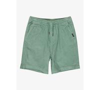 Vêtements Quiksilver Taxer Cord Youth EQBWS03371 pour Accessoires 14A Vert